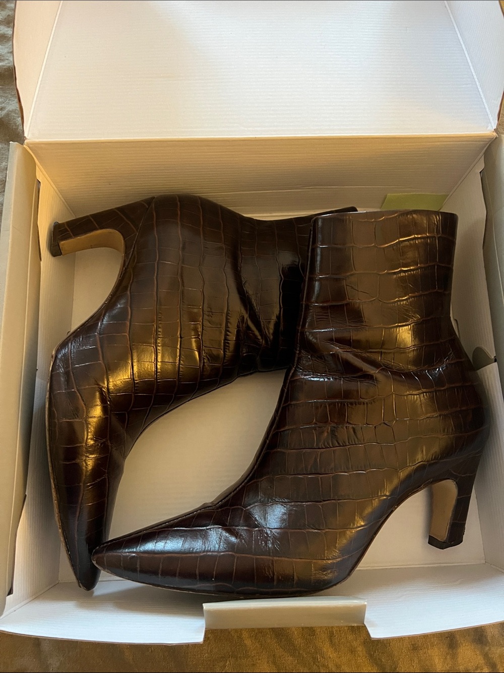Everlane Brown Croc Banana Boot Heel